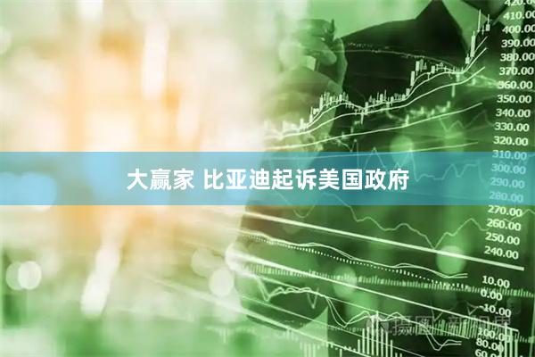 大赢家 比亚迪起诉美国政府